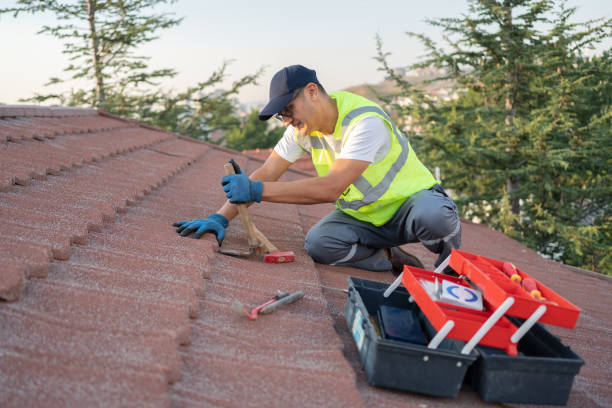 Best Storm Damage Roof Repair  in Deville, AL