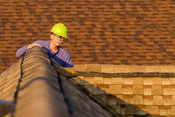 Best Storm Damage Roof Repair  in Deville, AL